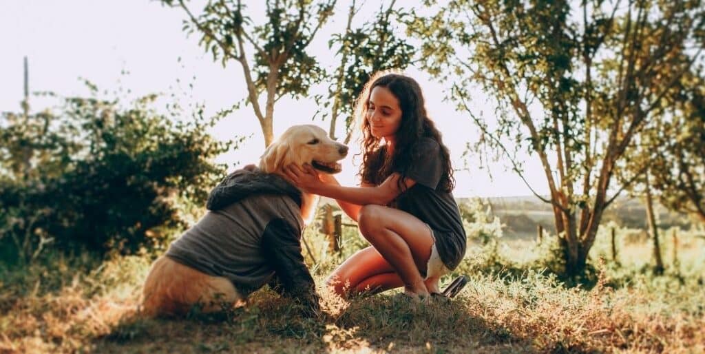 dog in hoodie with woman