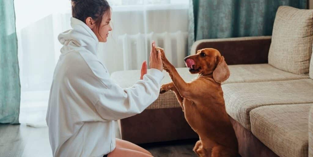 woman and dog