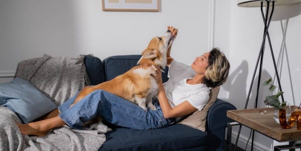 dog and woman on a couch