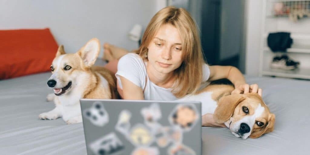 woman with two dogs with laptop