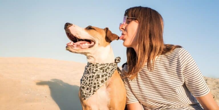 Do Humans and Dogs Have an Innate Bond?