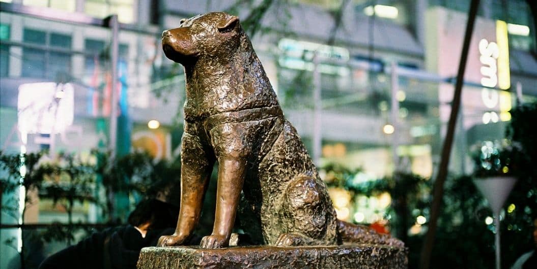 hachiko statue