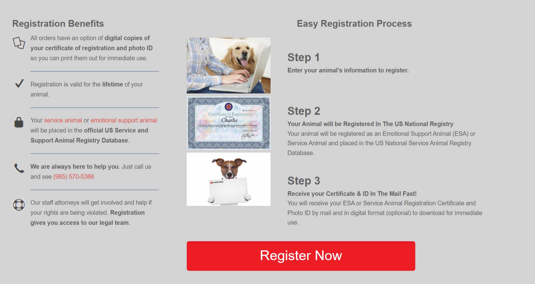 Pettable vs US Service Animals Online ESA Letter Services Review [2024]