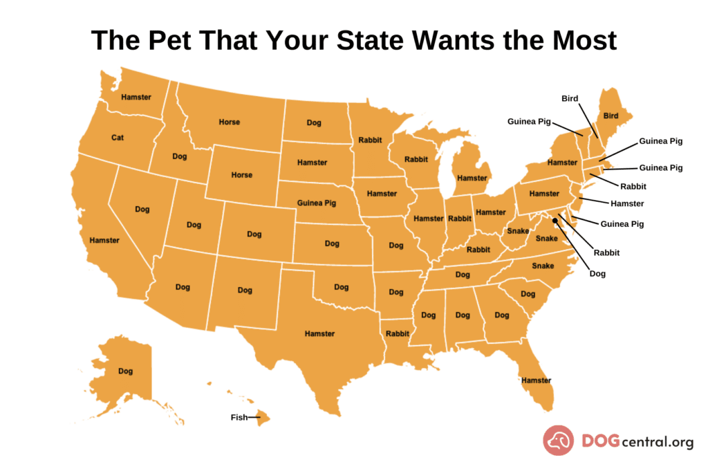 Pets Every State Wants