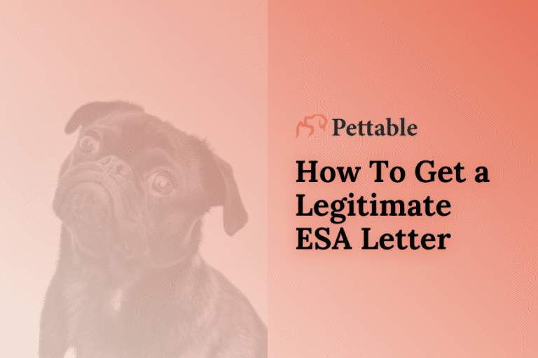 pettable esa letter review