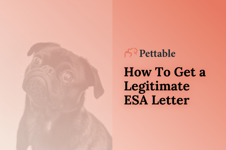 pettable esa letter review
